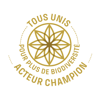 BADGES-Acteur champion FT BADGES-Acteur champion FT